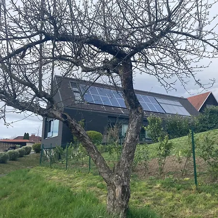 Logis125 I Barbara Hofmann Bed and breakfast Gamlitz