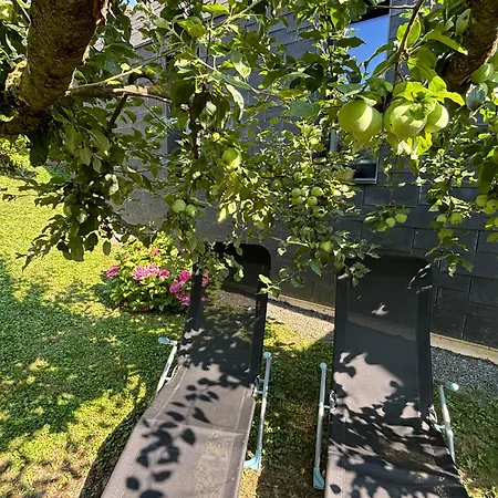 Logis125 I Barbara Hofmann Gamlitz