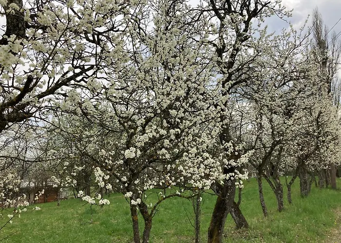 Logis125 I Barbara Hofmann 甘利特茨