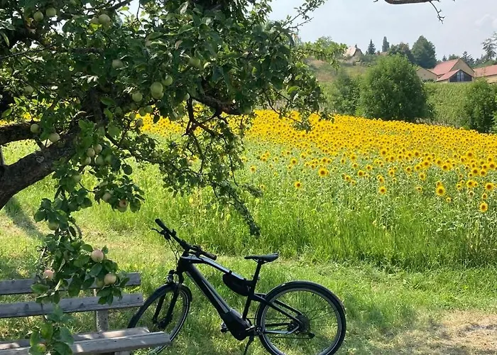 Logis125 I Barbara Hofmann Nocleg ze śniadaniem 4*