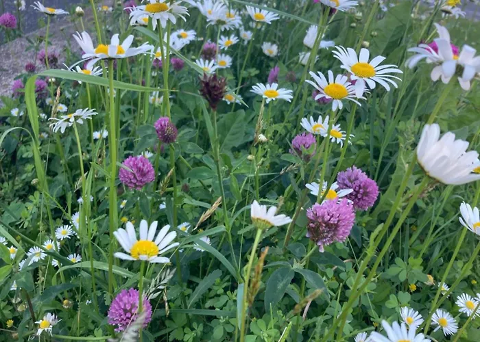 Logis125 I Barbara Hofmann