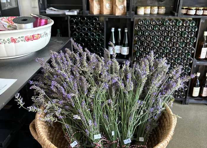 Logis125 I Barbara Hofmann 住宿加早餐酒店