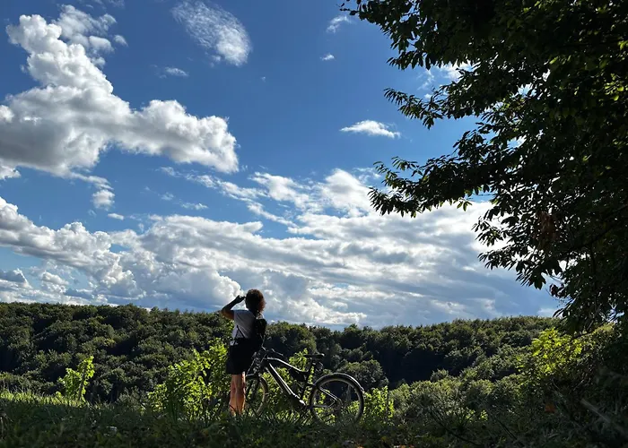 Logis125 I Barbara Hofmann 4* Gamlitz